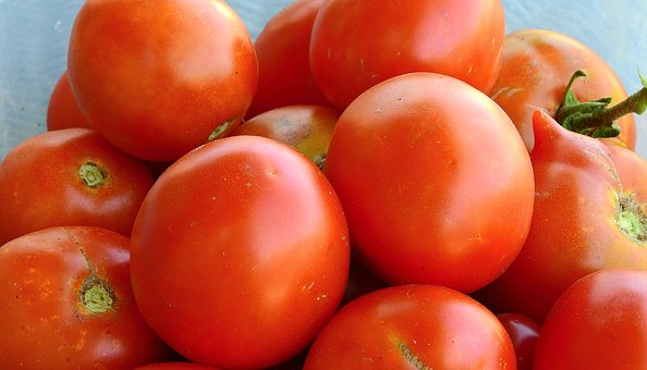 tomatoes